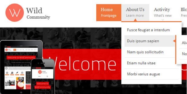 WildCommunity - BuddyPress Theme